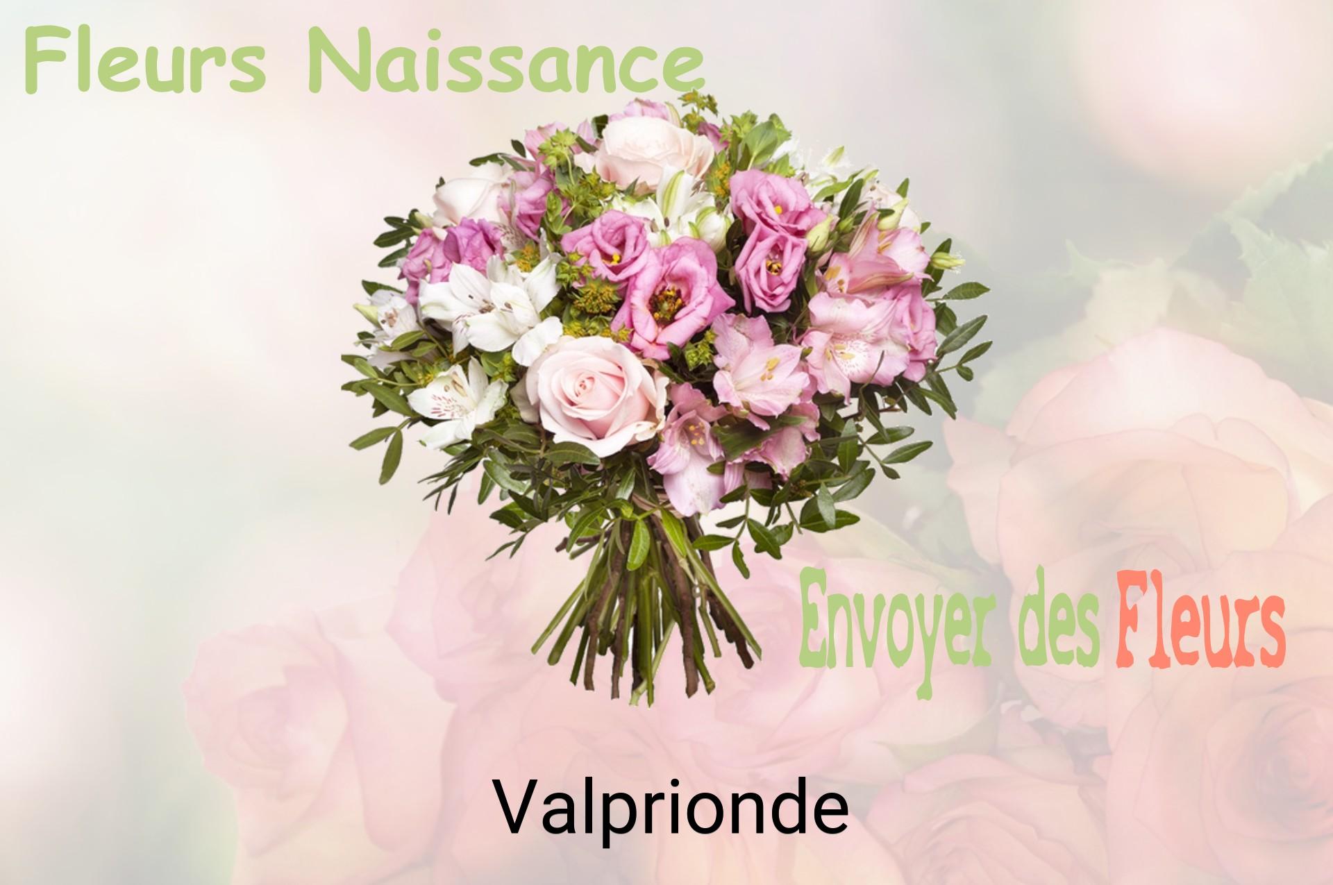 Bouquet de fleurs de naissance livré à Valprionde